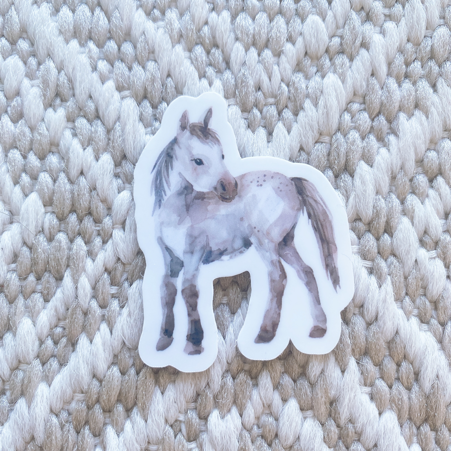 Pony Sticker